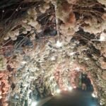 Luxury White Floral Tunnel Wedding Entrance