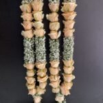 Luxury Peach Rose & Gypsophila Wedding Varmala Set